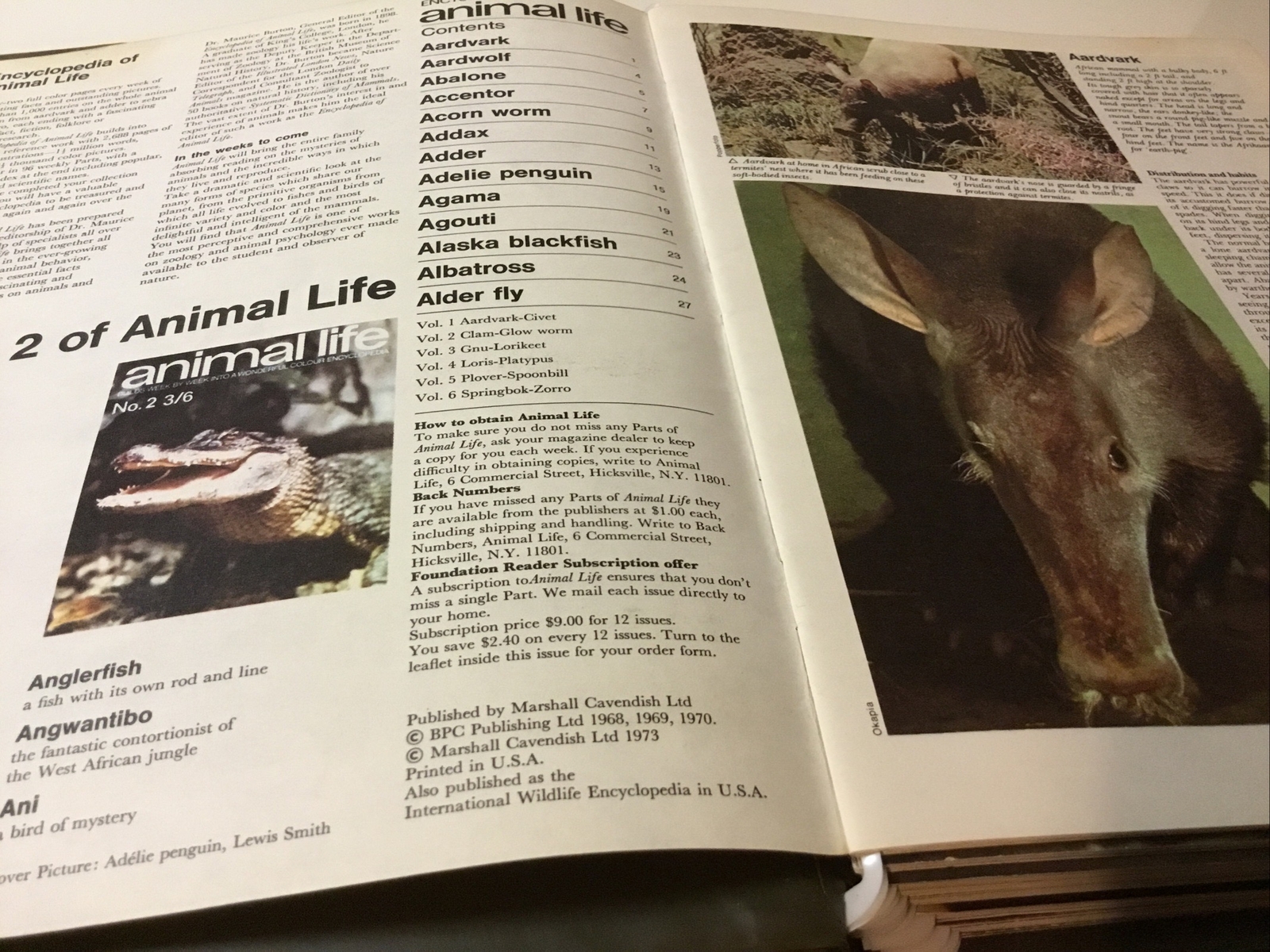 Encyclopedia of Animal Life Magazines by M. Cavendish in Binder 1 – 13 ~ 1973