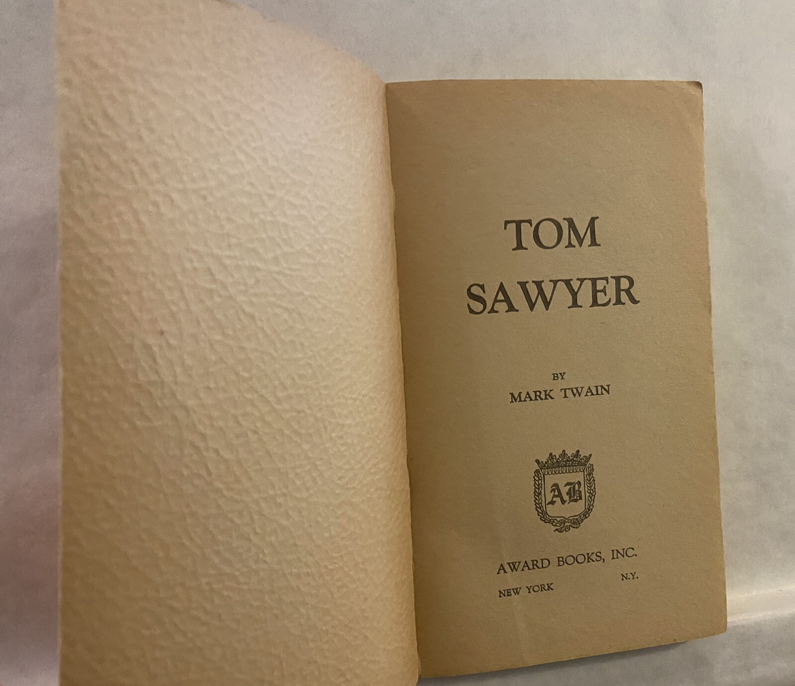 Tom Sawyer – Mark Twain – Best Seller Classics (PB) Textured Paperback Cover