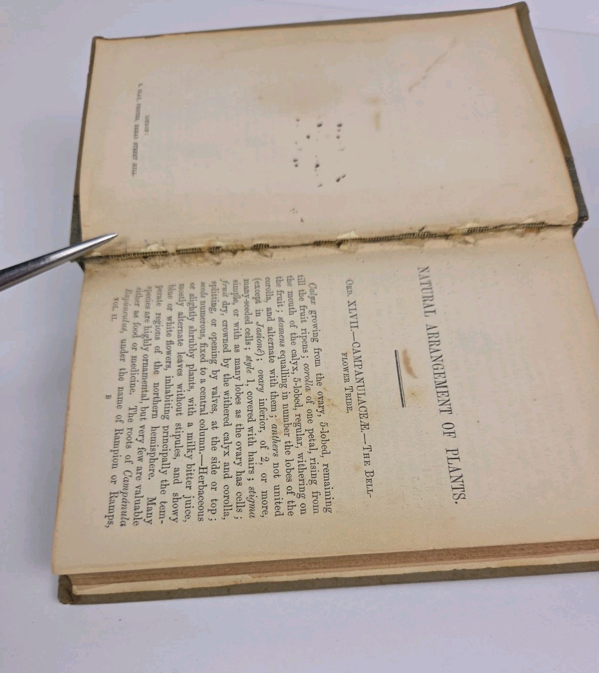 Flowers of the Field by Rev C. A. Johns, Revised by G.S. Boulger, Vol I & II