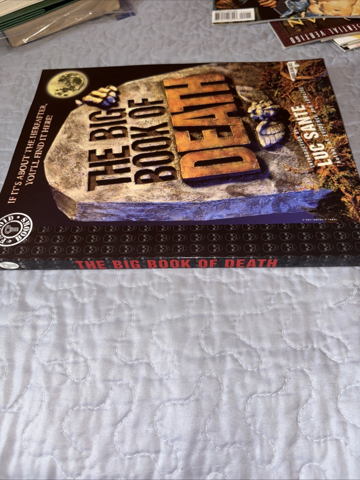 THE BIG BOOK OF DEATH by Luc Sante DC Comics Paradox Paperback 1995