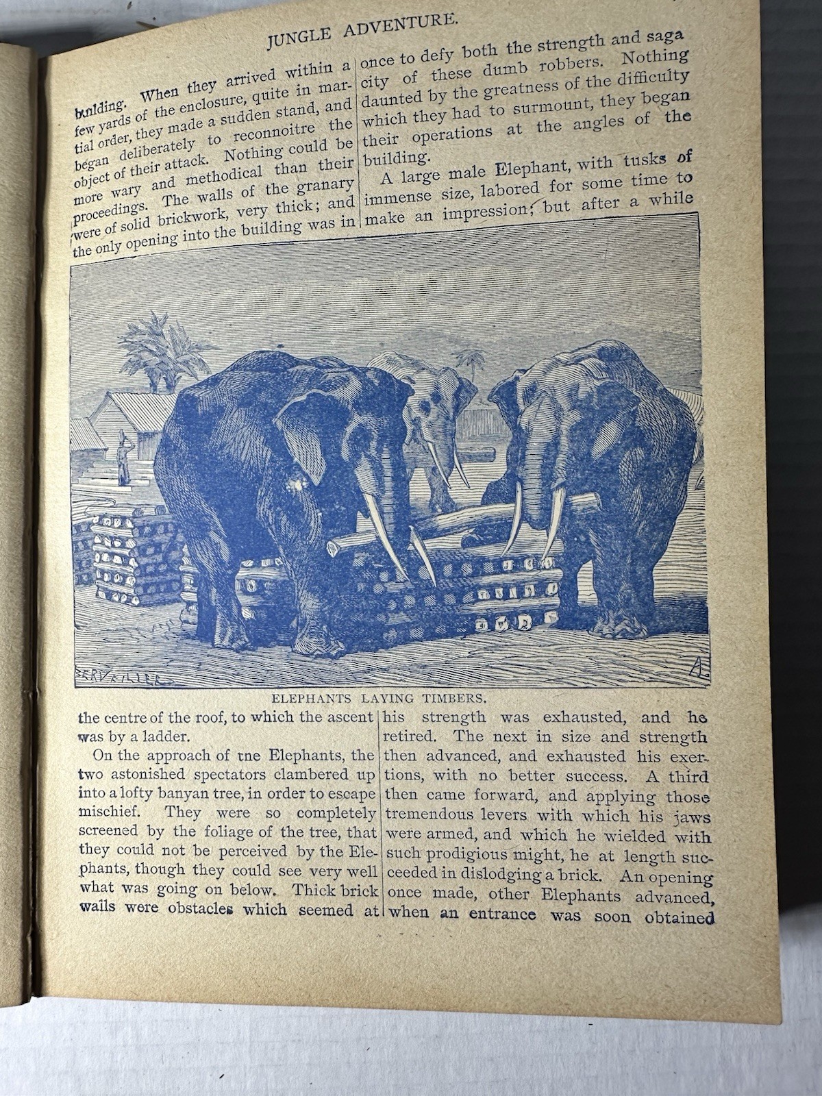 Vintage The King Of The Circus 1902 Book Unknown Publisher And Author 224 Pages