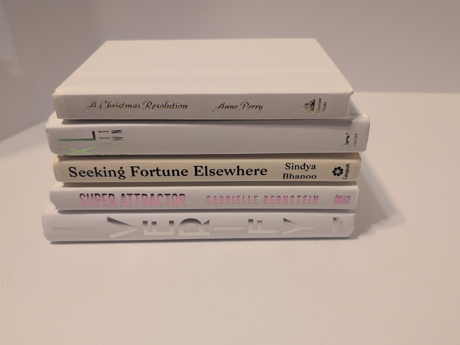 RANDOM Lot of 5 Hardcover Decor Books WHITE CREAM Shade Staging Home Decor Props