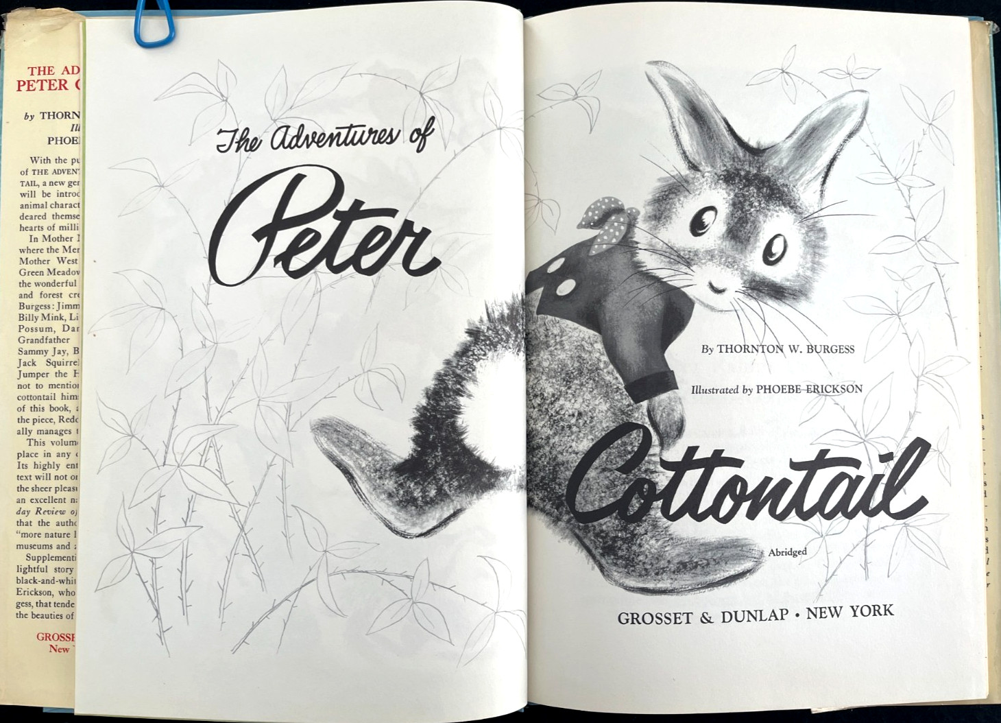 ADVENTURES OF PETER COTTONTAIL ~ large HB/DJ 1st ed. children’s book, 1958 G/VG