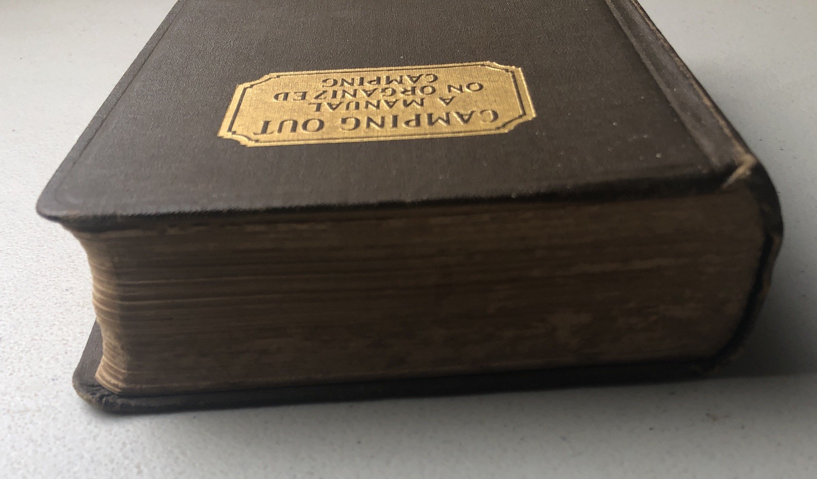 Antique 1924 1925 Camping Out A Manual On Organized Camping Macmillan