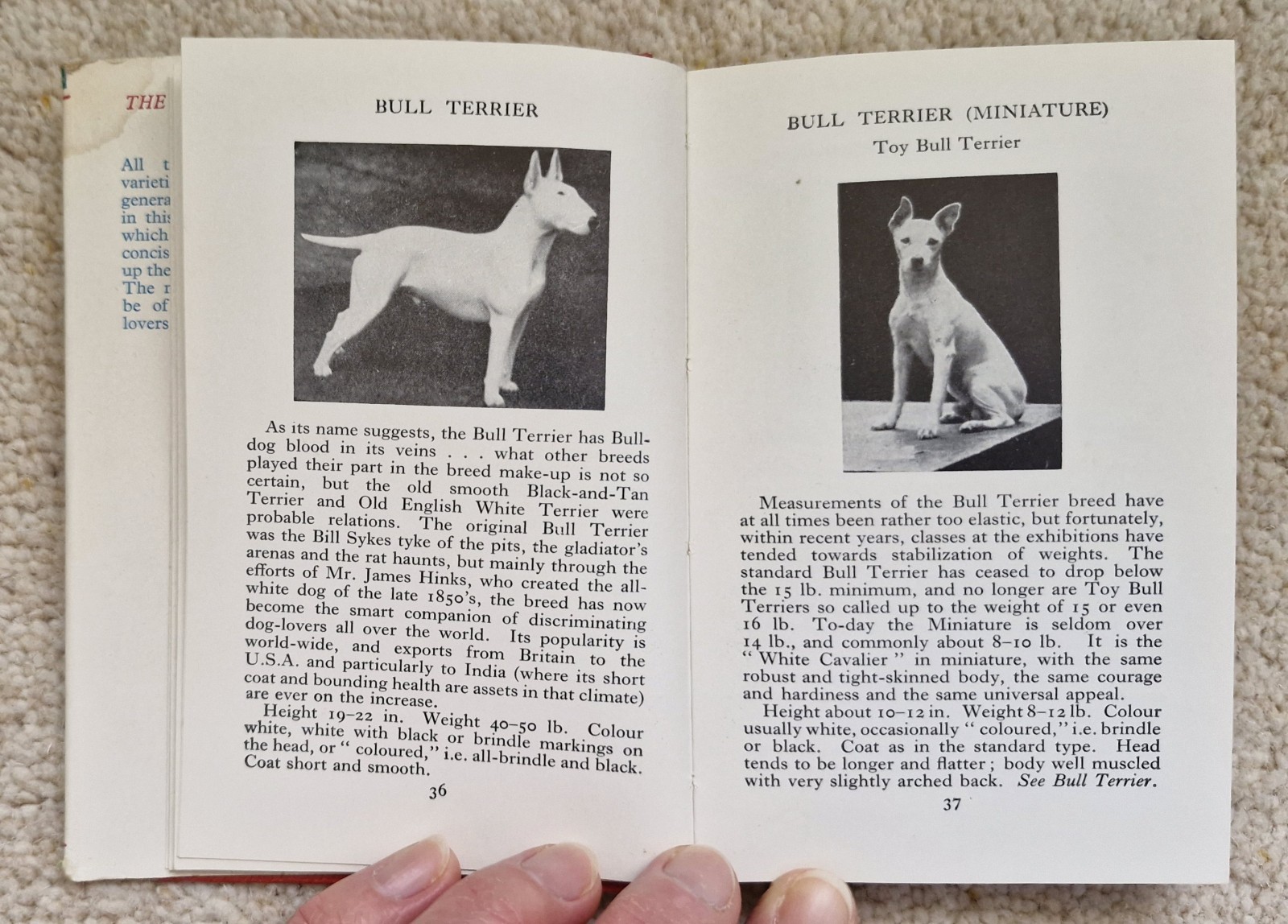 The Observer’s Book Of Dogs by Clifford L. B. Hubbard, 1949, Frederick Warne