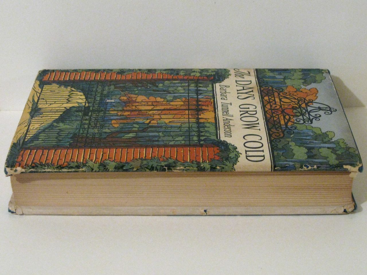 The DAYS GROW COLD by Barbara Turnell Anderson! Rare 1941 Macmillan Co. HCDJ