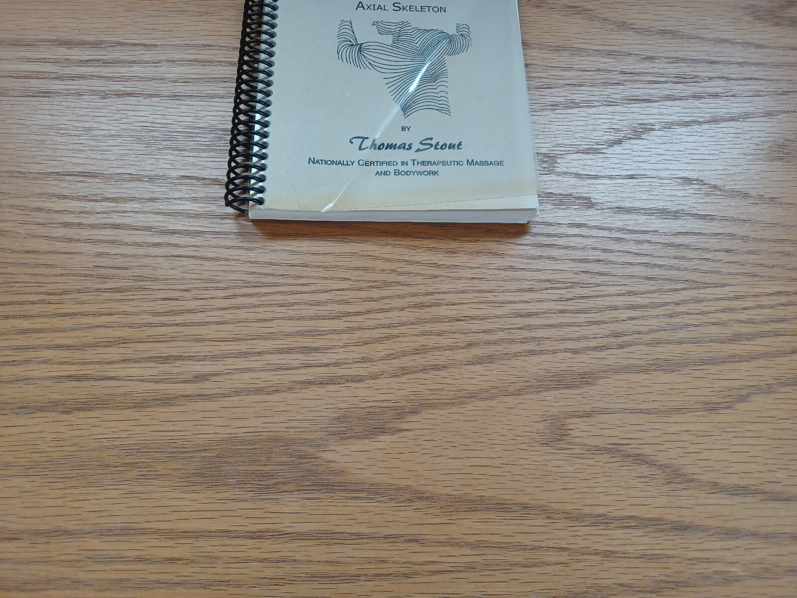 Muscular Therapy Thomas Stout Muscles Of The Axial Skeleton 1998