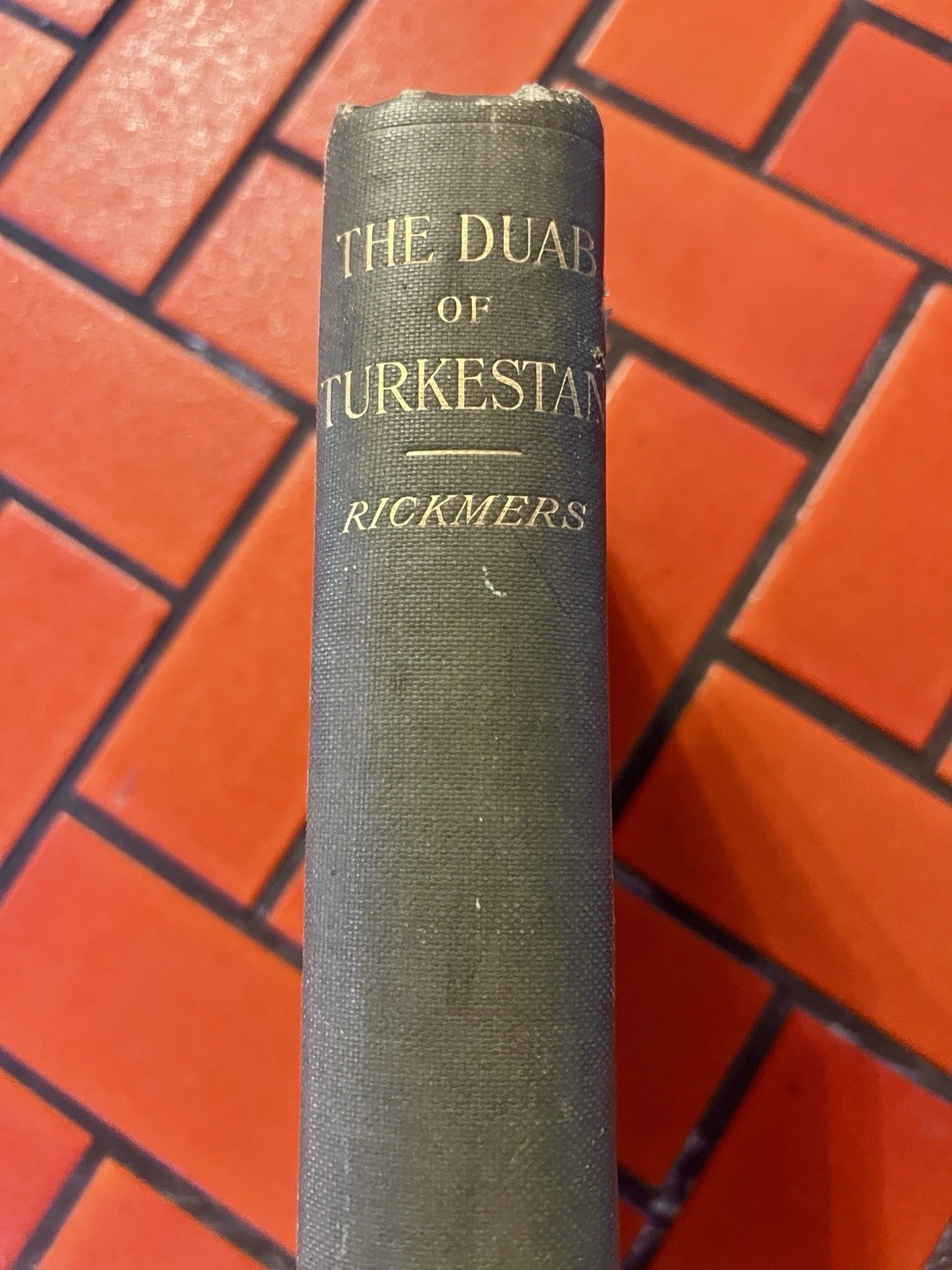 1913 The Duab of Turkestan W. Rickmer Rickmers Illustrated 1st Edition With Maps