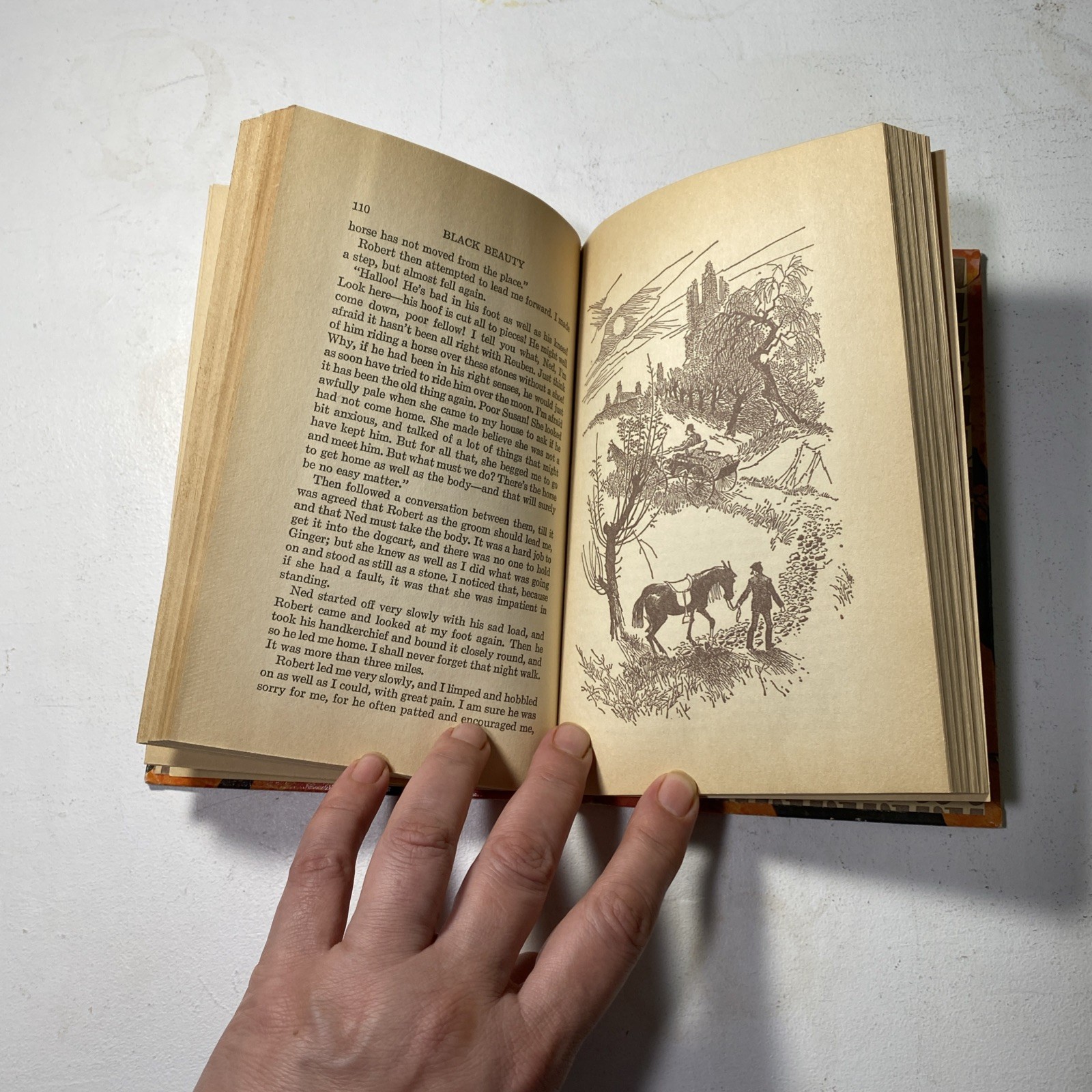 Black Beauty Anna Sewell Vtg Rare Illustrator Gordon Laite Whitman Classics 1604
