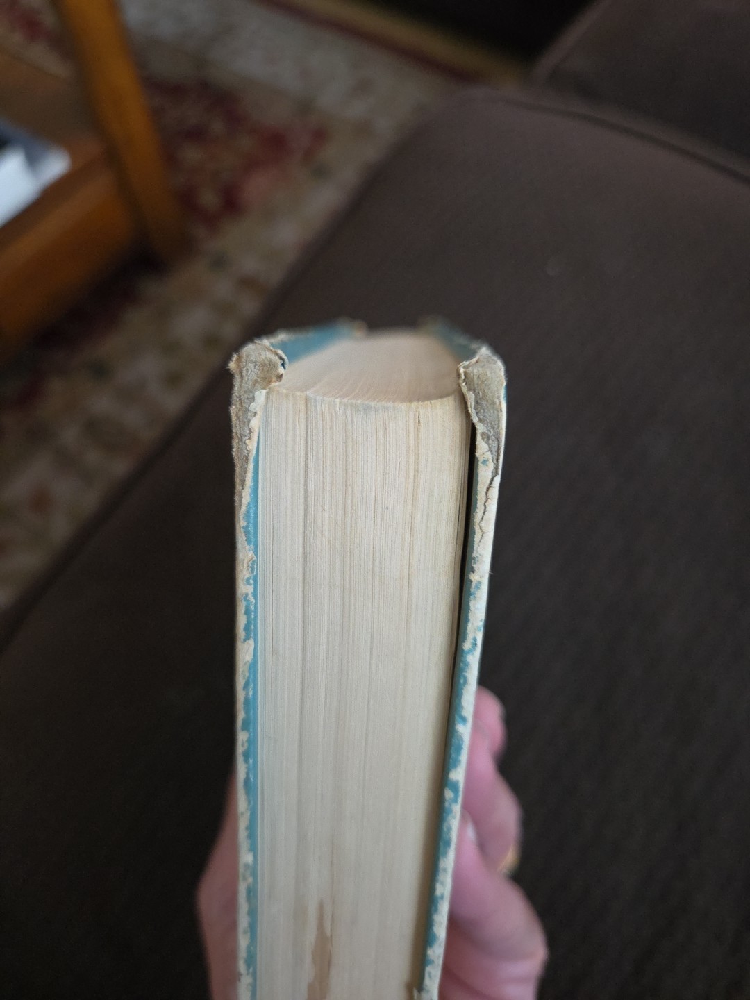 The Blue Fairy Book-Andrew Lang-First Looking Glass Library Edition!-1959-RARE!