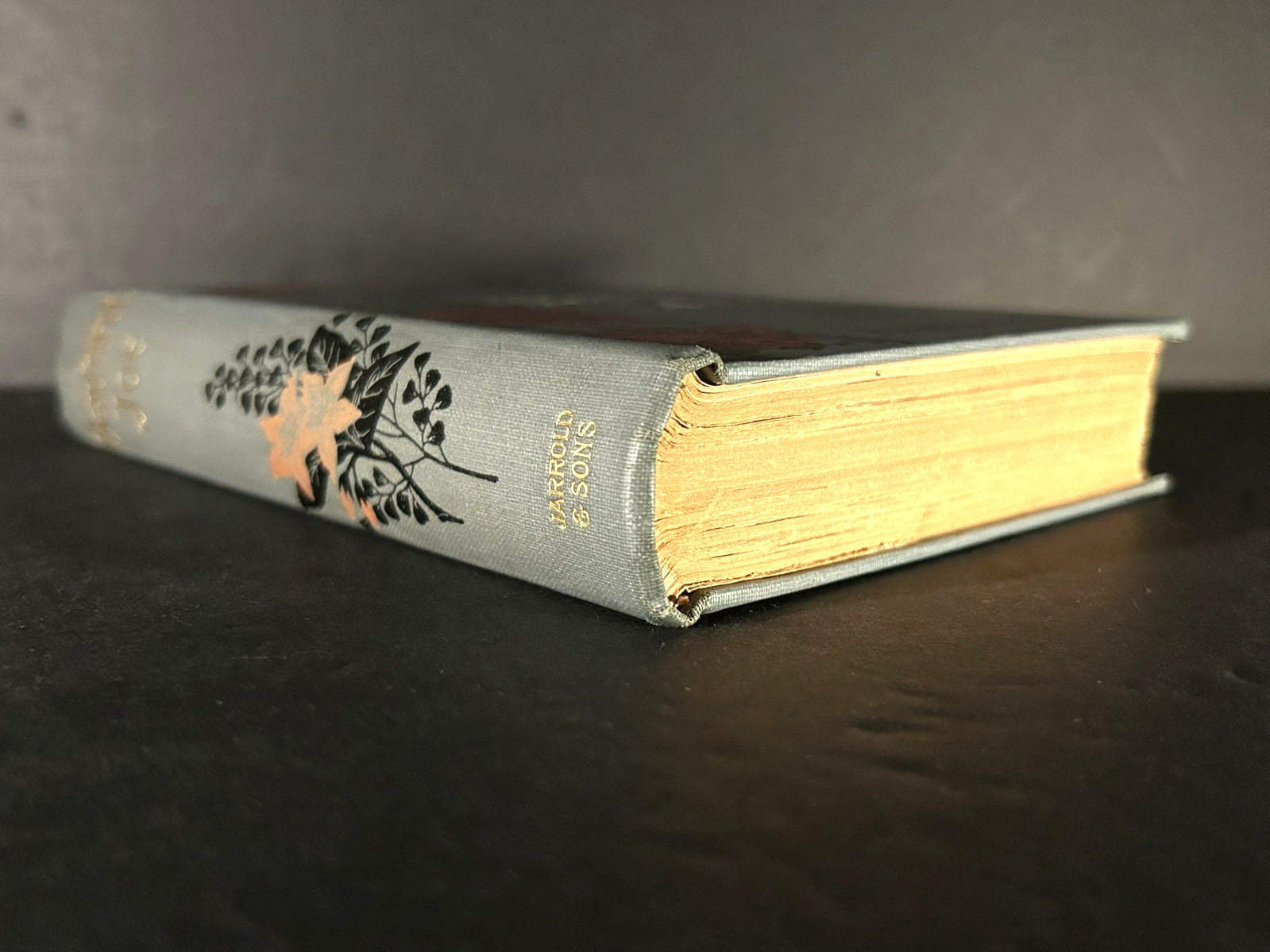 Antique Christian Novel BEAUTIFUL JOE AN AUTOBIOGRAPHY OF A DOG Fine Binding1904