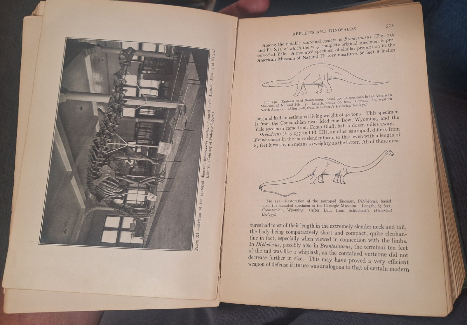 Signed Organic Evolution, Richard Swann Lull, 1921 hardcover Science