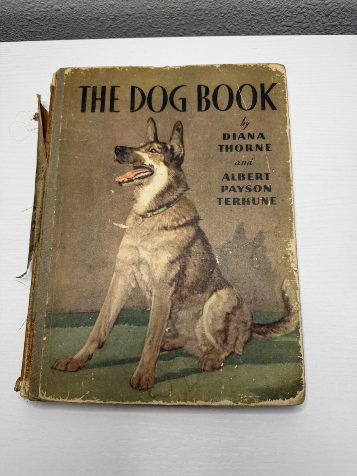 The Dog Book Diana Thorne a, 1932 Hardcover First Edition Dust Cover Yes