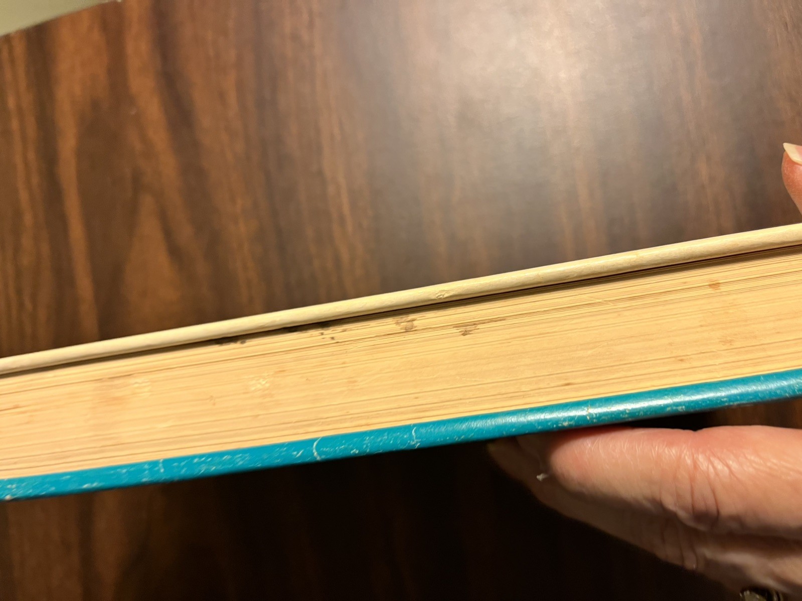 THE BLACK STALLION’S FILLY by Walter Farley, believed 1st edition 1952