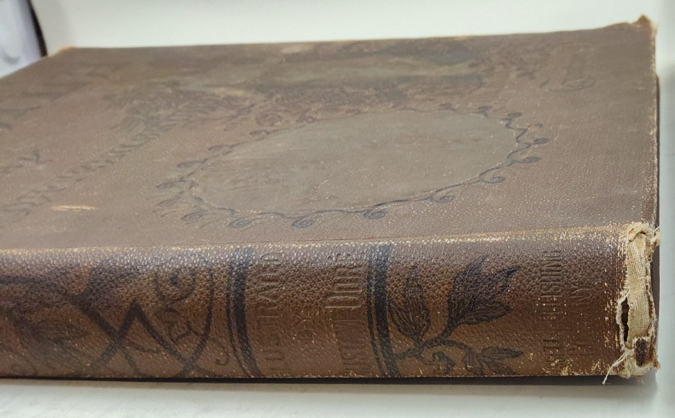 Atala by Chateaubriand 1884 Illustrated by Gustave Dore HC