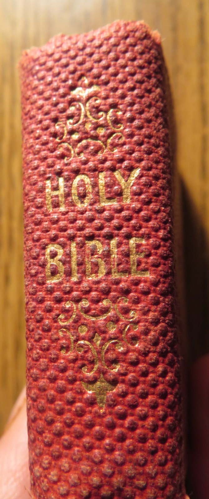 1834 Bible Miniature Lady of Cincinnati, Fisher & Brother, Illustrated Plates