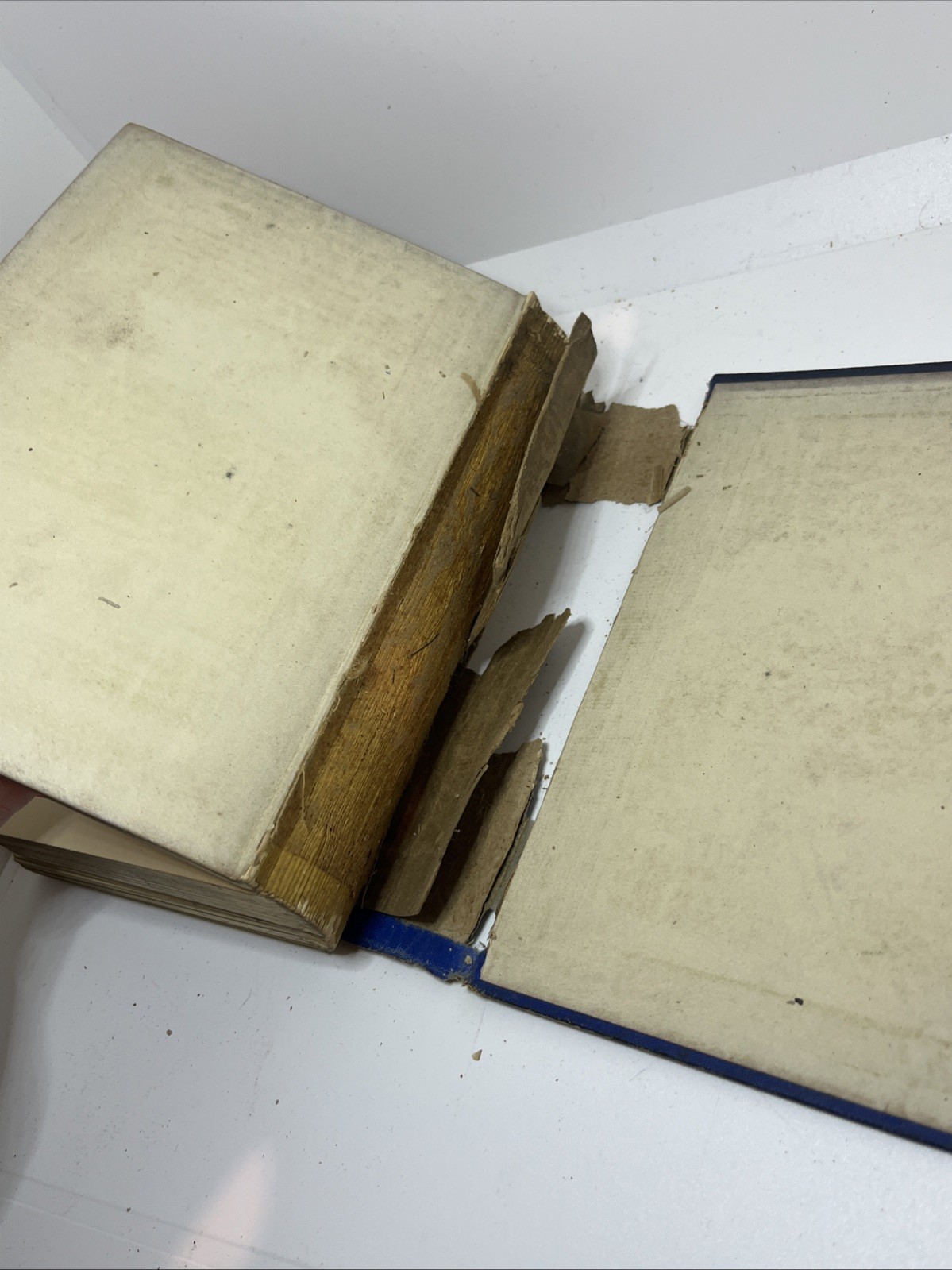 The Poetical Works of S.T. Coleridge Chandos Poets Frederick Warne & Co Undated