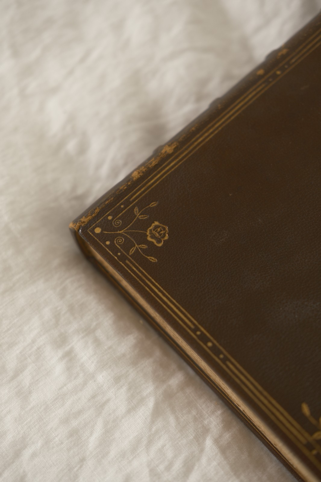 GRAIL Extremely Scarce 1 of 26 Descartes Method & Meditations Fine Binding 1901