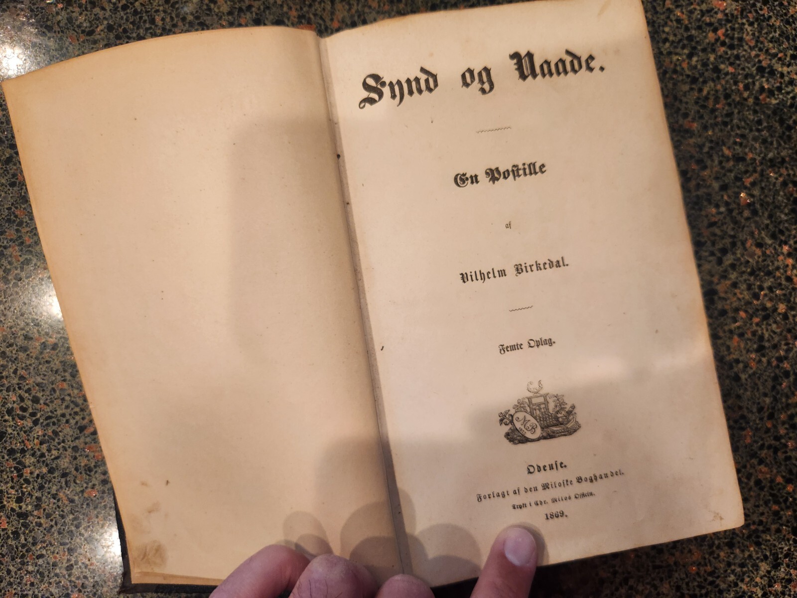 1869 Vilhelm Birkedal Synd og Naade DUTCH VINTAGE RARE BIBLE ONE OF A KIND #Y