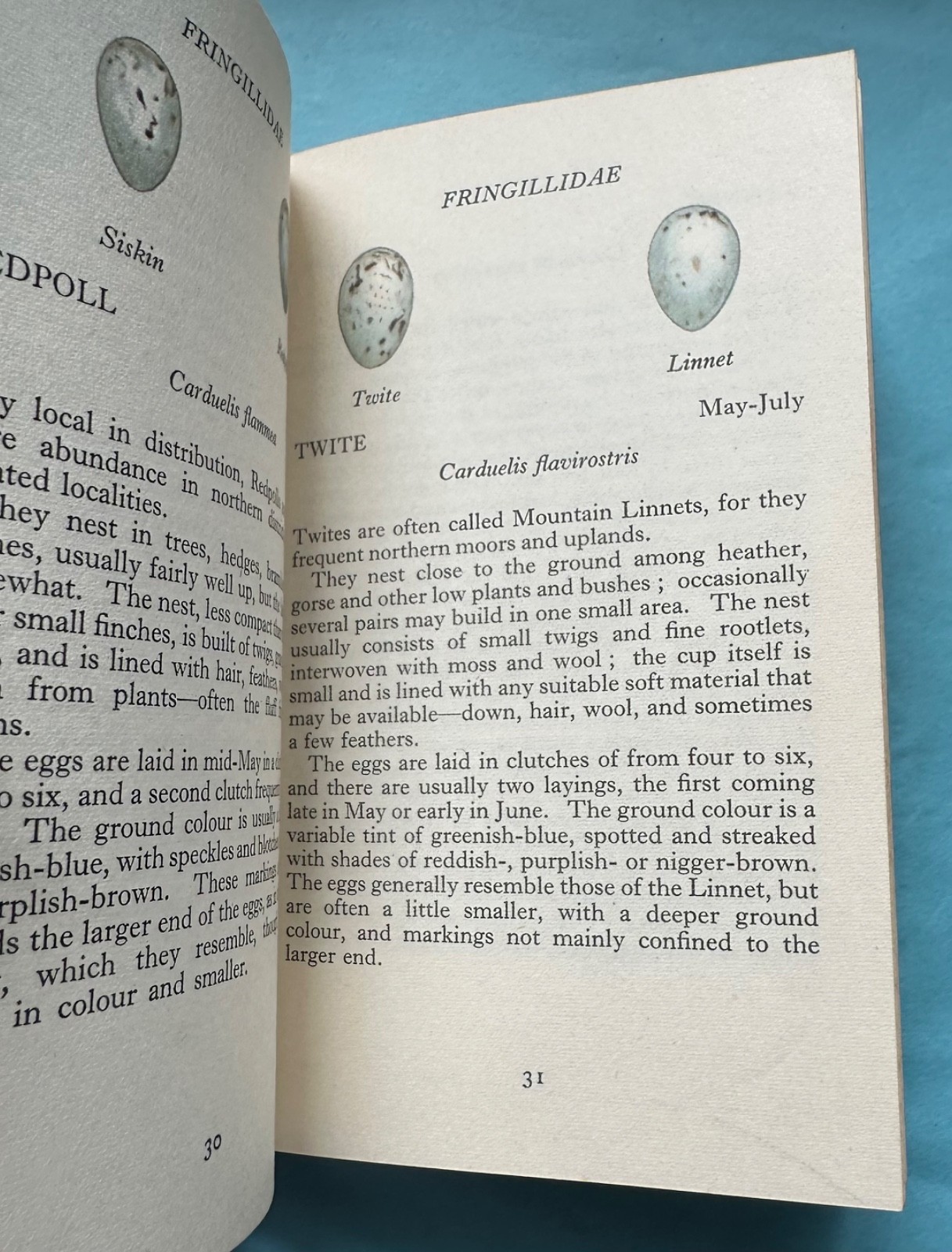 The Observer’s Book of Bird’s Eggs – 1961 Frederick Warne HB