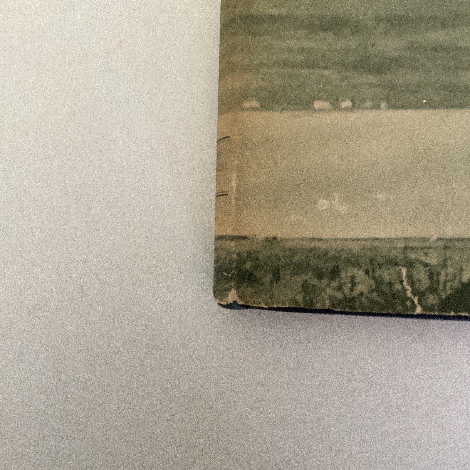 New York Walk Book 3rd Edition 1951 NY Geographical Society H Wolff Book Mfg Co
