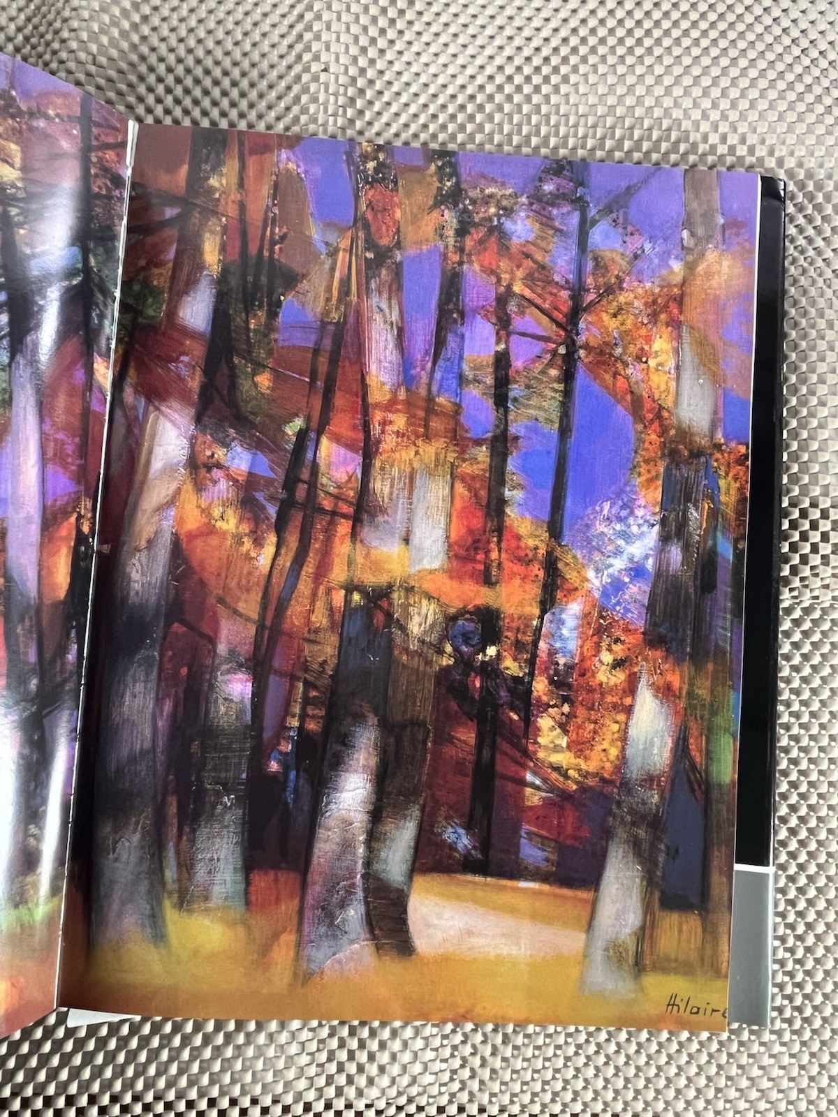 1980s French Art Book ~ Hilaire ~ Éditions Alain Daune Paris ~ No. 484/3000 HC