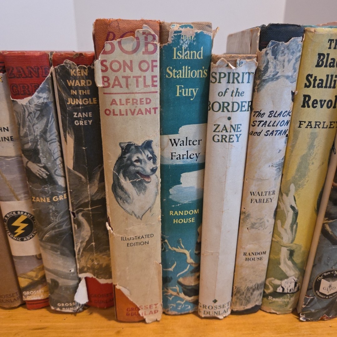 Lot of 13 Vintage Boys Action Adventure Books 1940s 50s Hardcover Hardy Boys