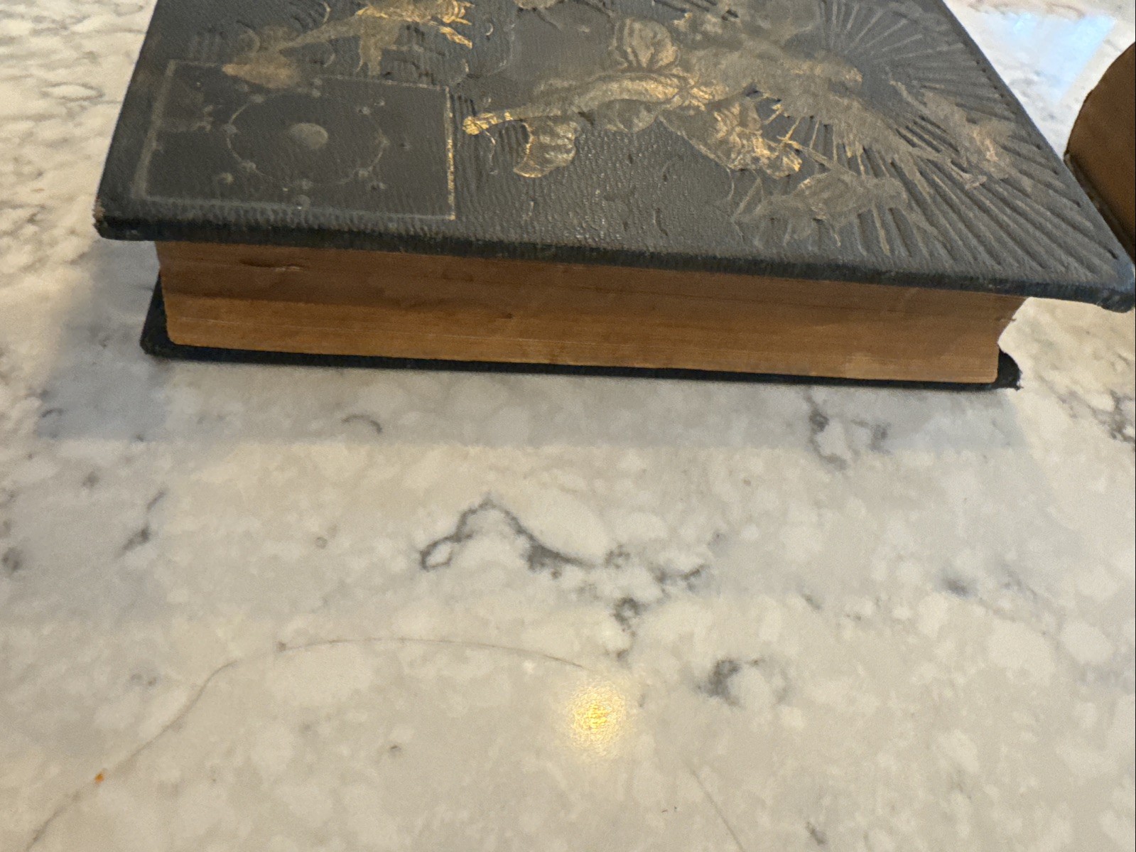 Antique 1880s GAY’S CIRCLE OF KNOWLEDGE Illustrated Victorian Leather Cloth Book