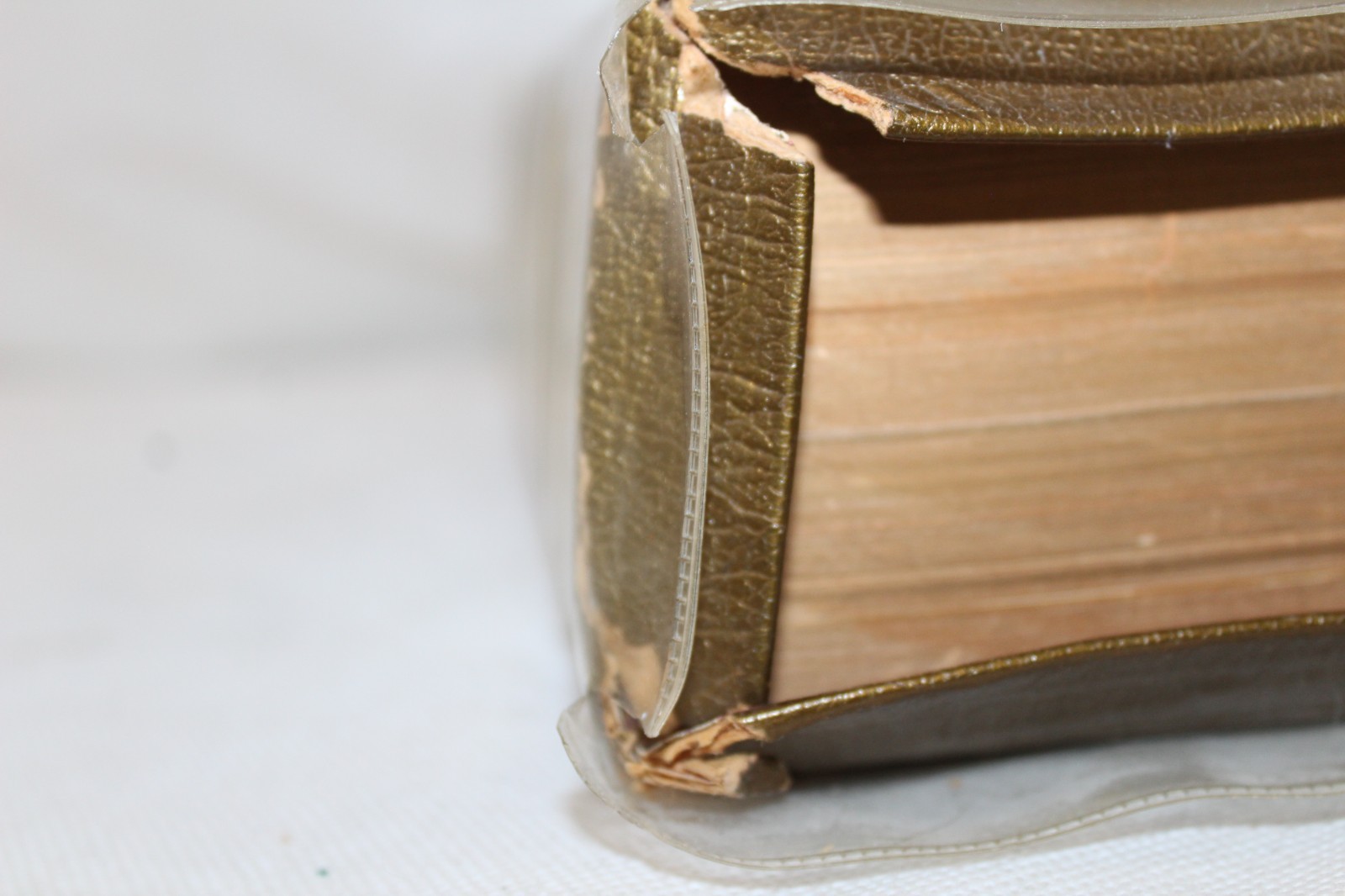 Holy Bible The Marian Edition Catholicism Leather Bound 1966 Catholic Press