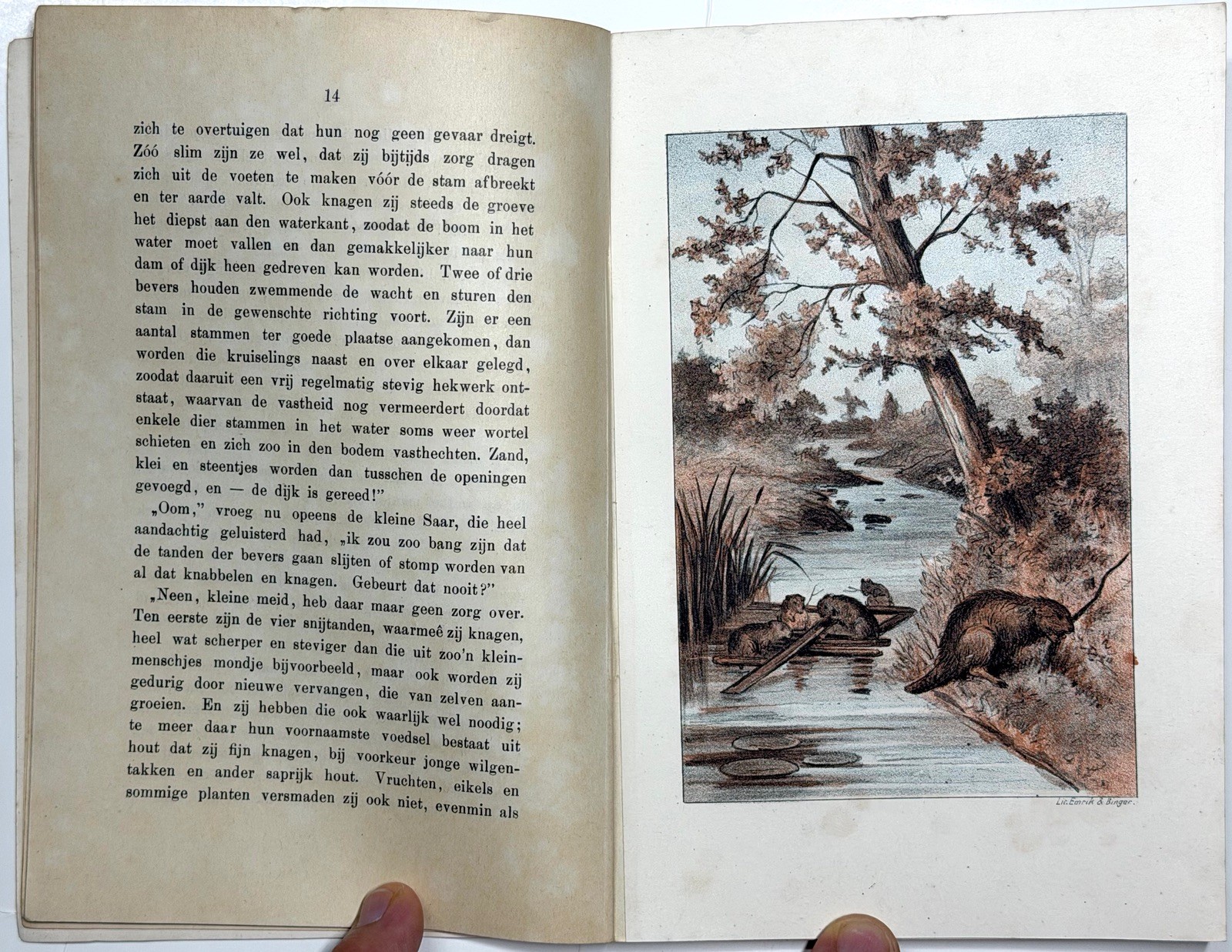 1897 UIT DE DIERENWERELD INA VAN DORT DUTCH CHILDRENS ANIMAL BOOK 3 COLOR PLATES