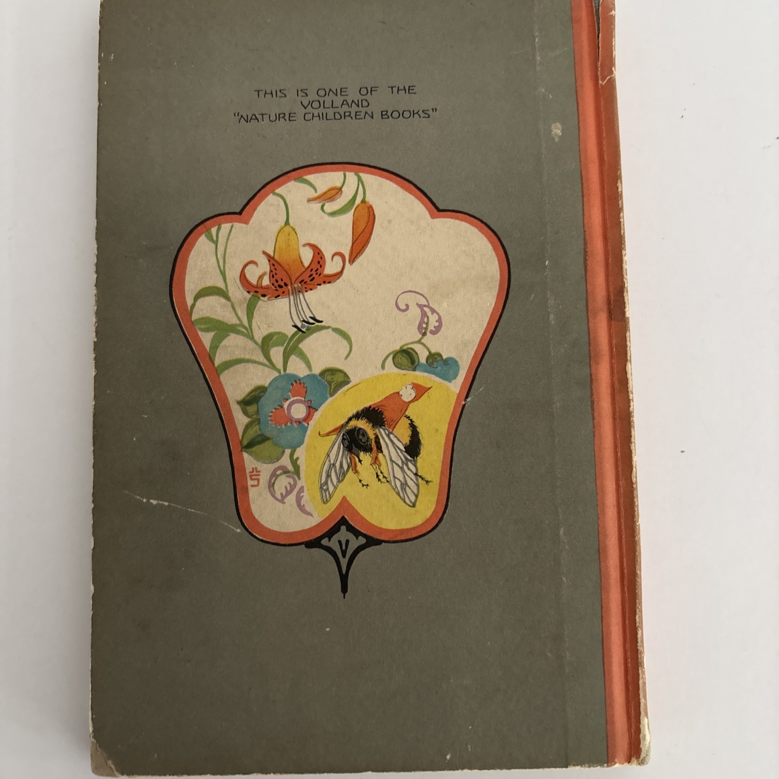 1920 – The Turned-Into’s – Gordon – Juvenile Fiction – Fantasy – Children – Book