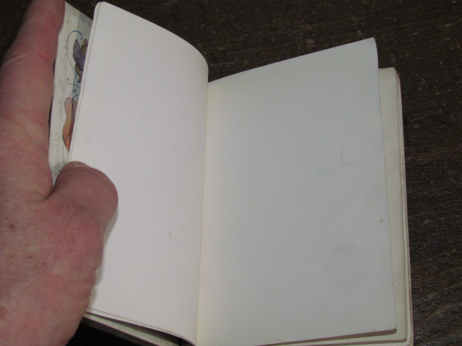 1907 BEATRIX POTTER THE TALE OF PETER RABBIT – very early Frederick Warne ed