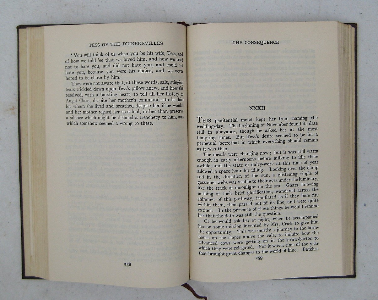 Antique, Vintage, Classic Literature Bundle x 13