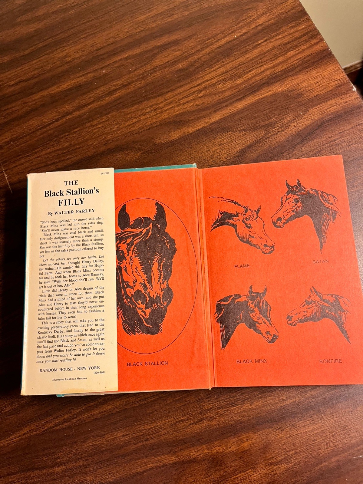 THE BLACK STALLION’S FILLY by Walter Farley, believed 1st edition 1952