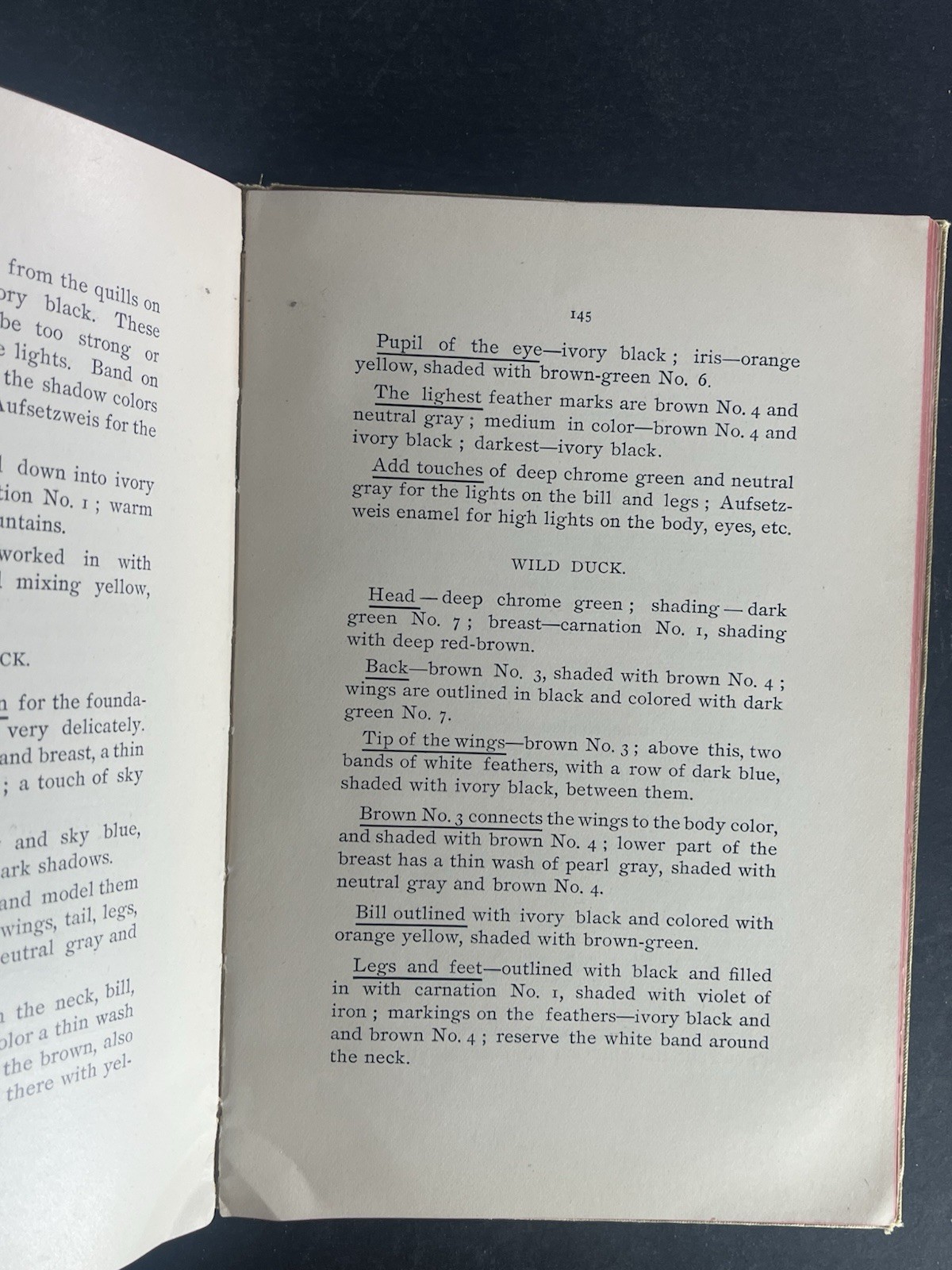 How to Apply Matt, Bronze, Dresden Colors & Gold to China ~ 1891 Antique Book