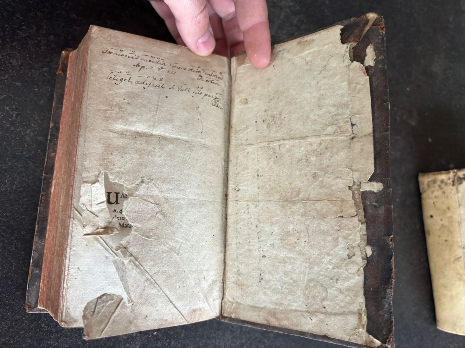 1734 1751 Antique Religious Books VELLUM LEATHER Jansen Rotterdam TheologiaMoral