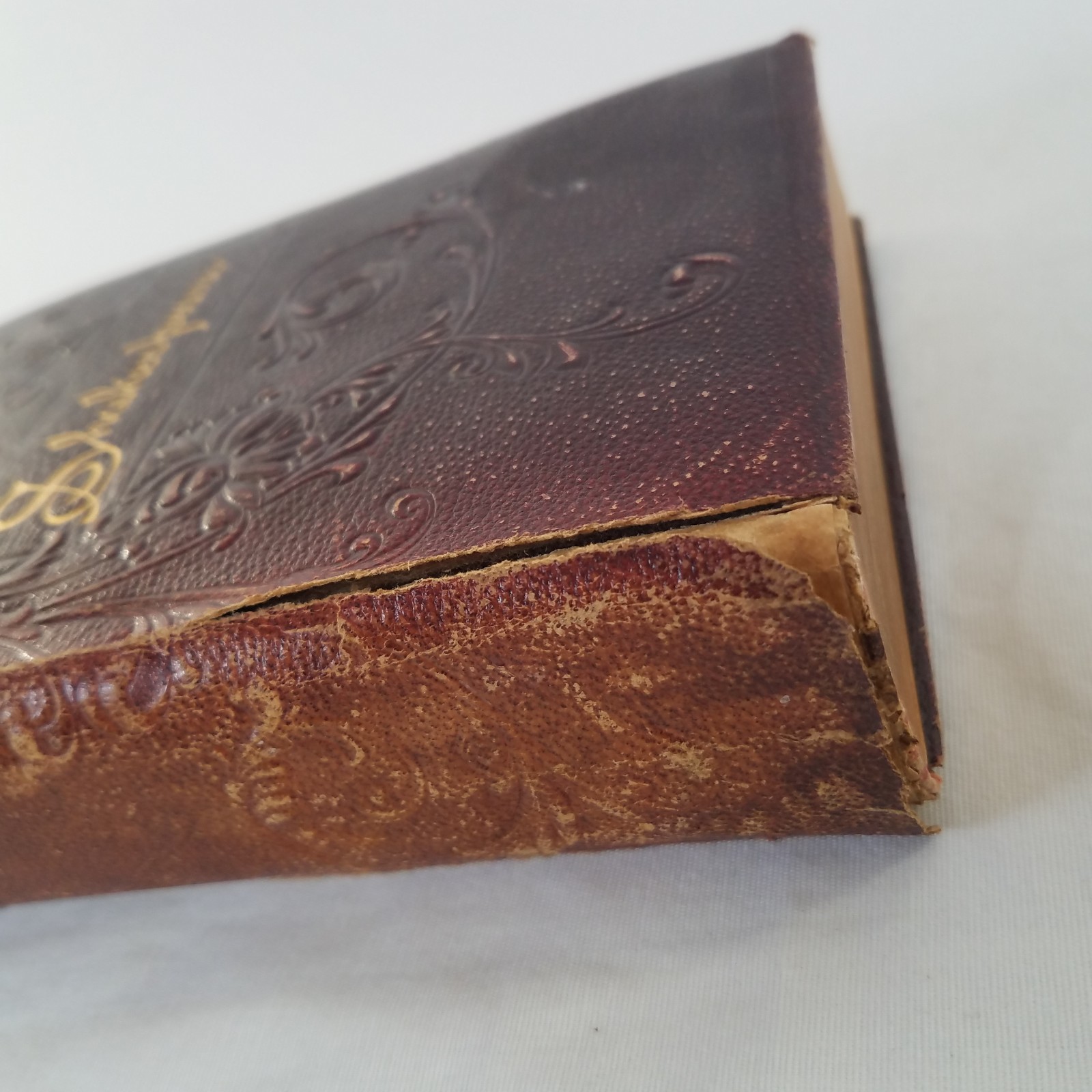 1890s Works William Shakespeare Crowell American Edition Embossed Leather RARE
