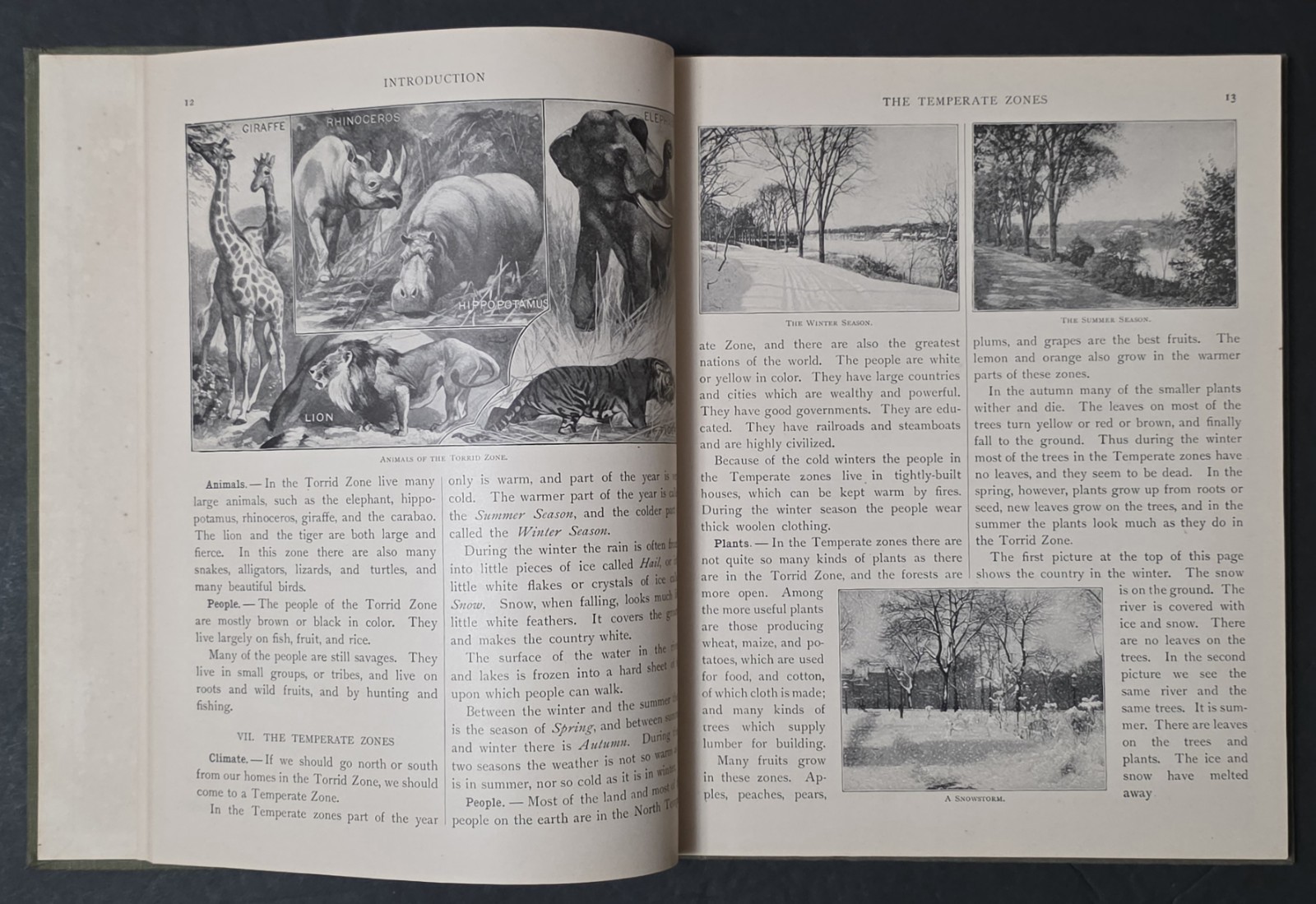 Philippine School Geography 1904 American Book Company Reference With Maps