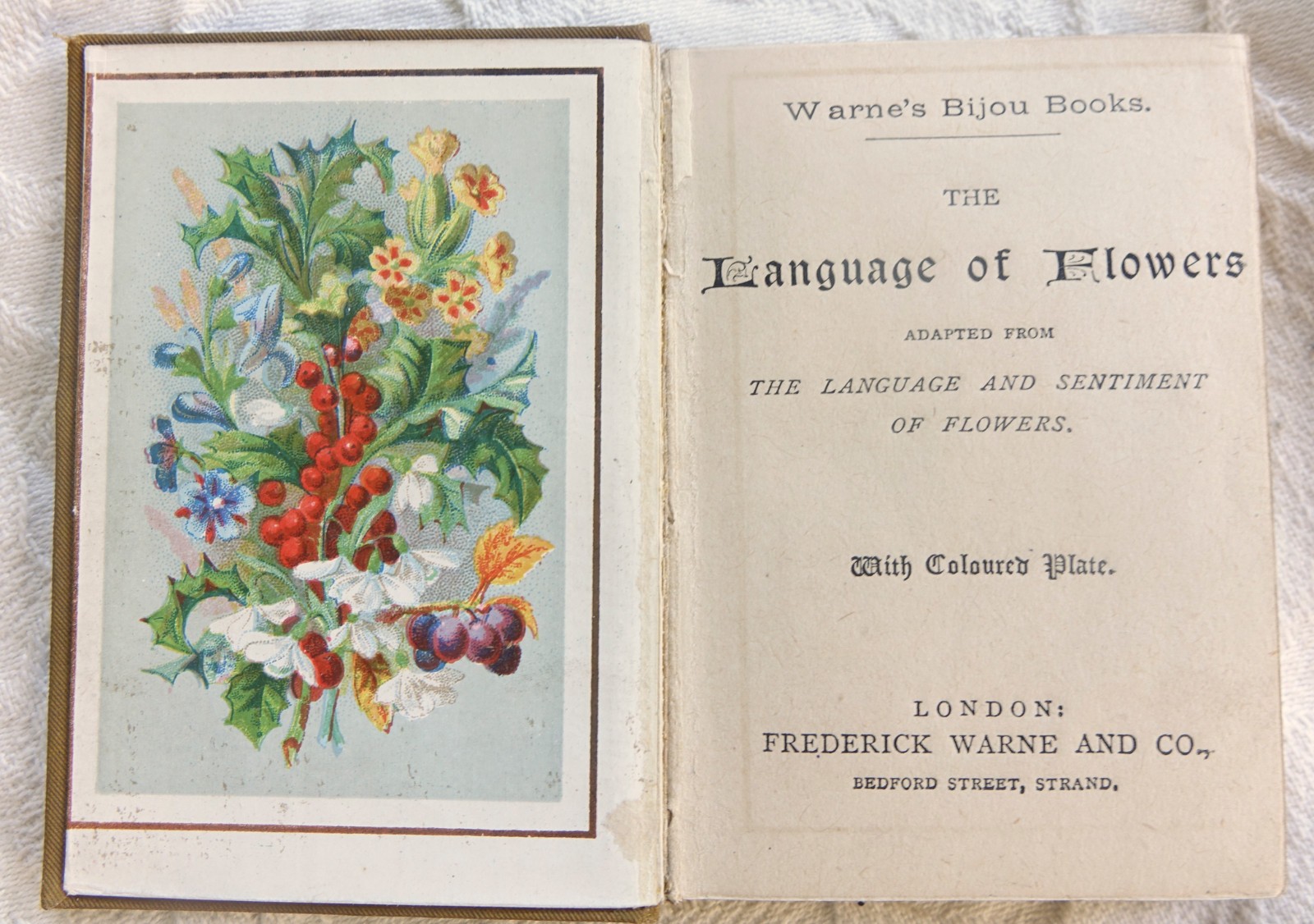 1889 Language of Flowers – Warne’s Bijou Series – MINIATURE