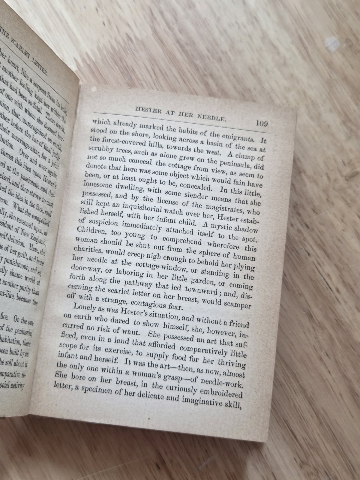 The Scarlet Lette Nathaniel Hawthorne 1892 Edition Henry Altemus Vintage HC