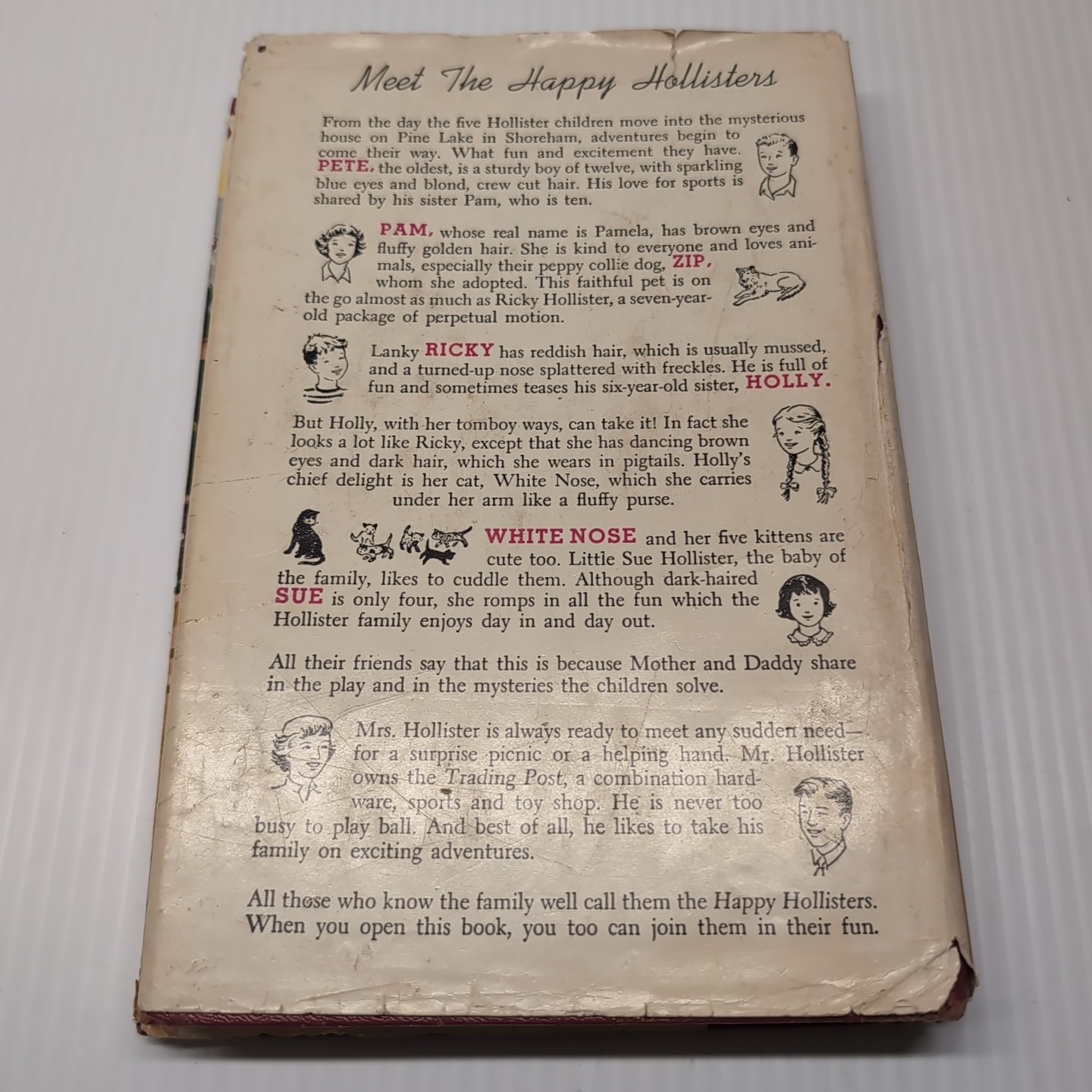 The Happy Hollisters and the Punch and Judy Mystery Hardcover – Dust Jacket 1964