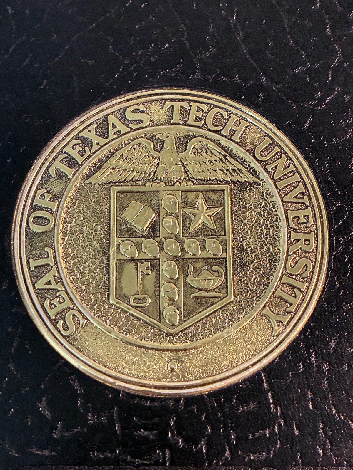 LA VENTANA TEXAS TECH 1979 UNIVERSITY YEARBOOK LUBBOCK TEXAS