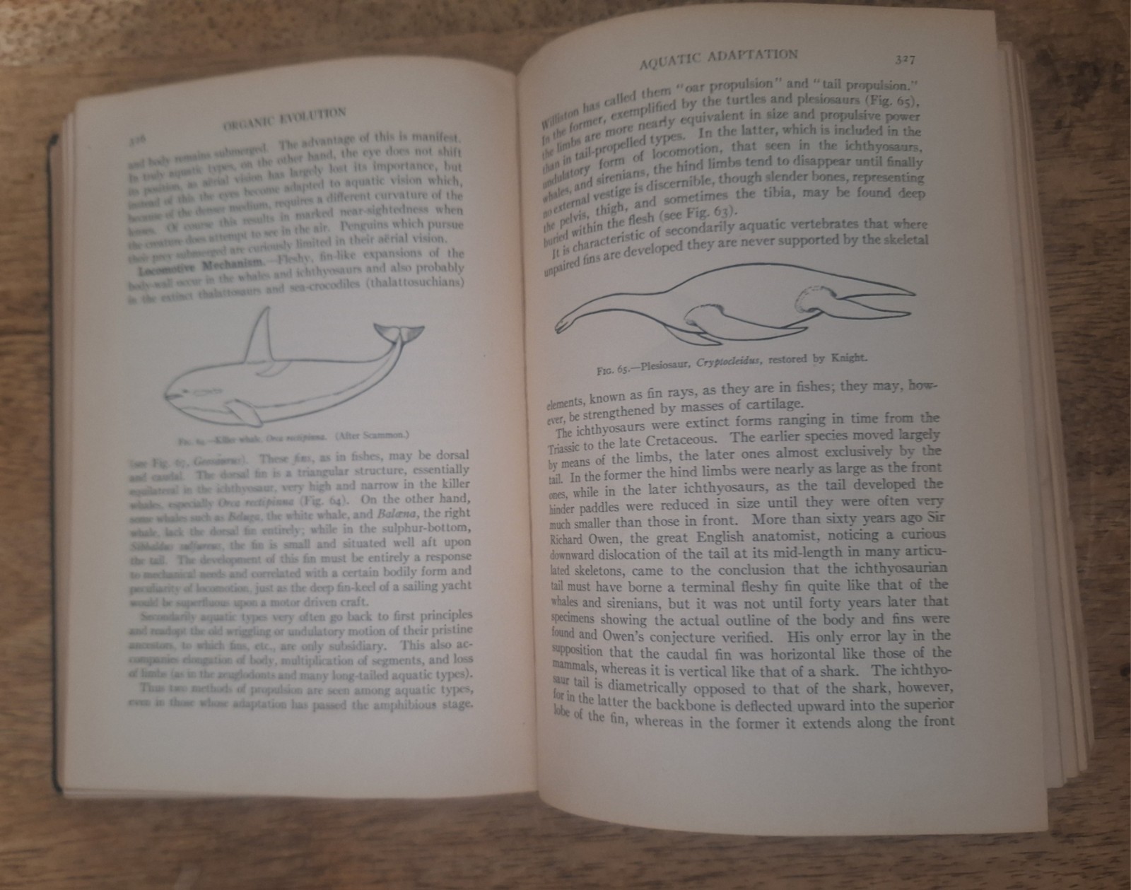 Signed Organic Evolution, Richard Swann Lull, 1921 hardcover Science