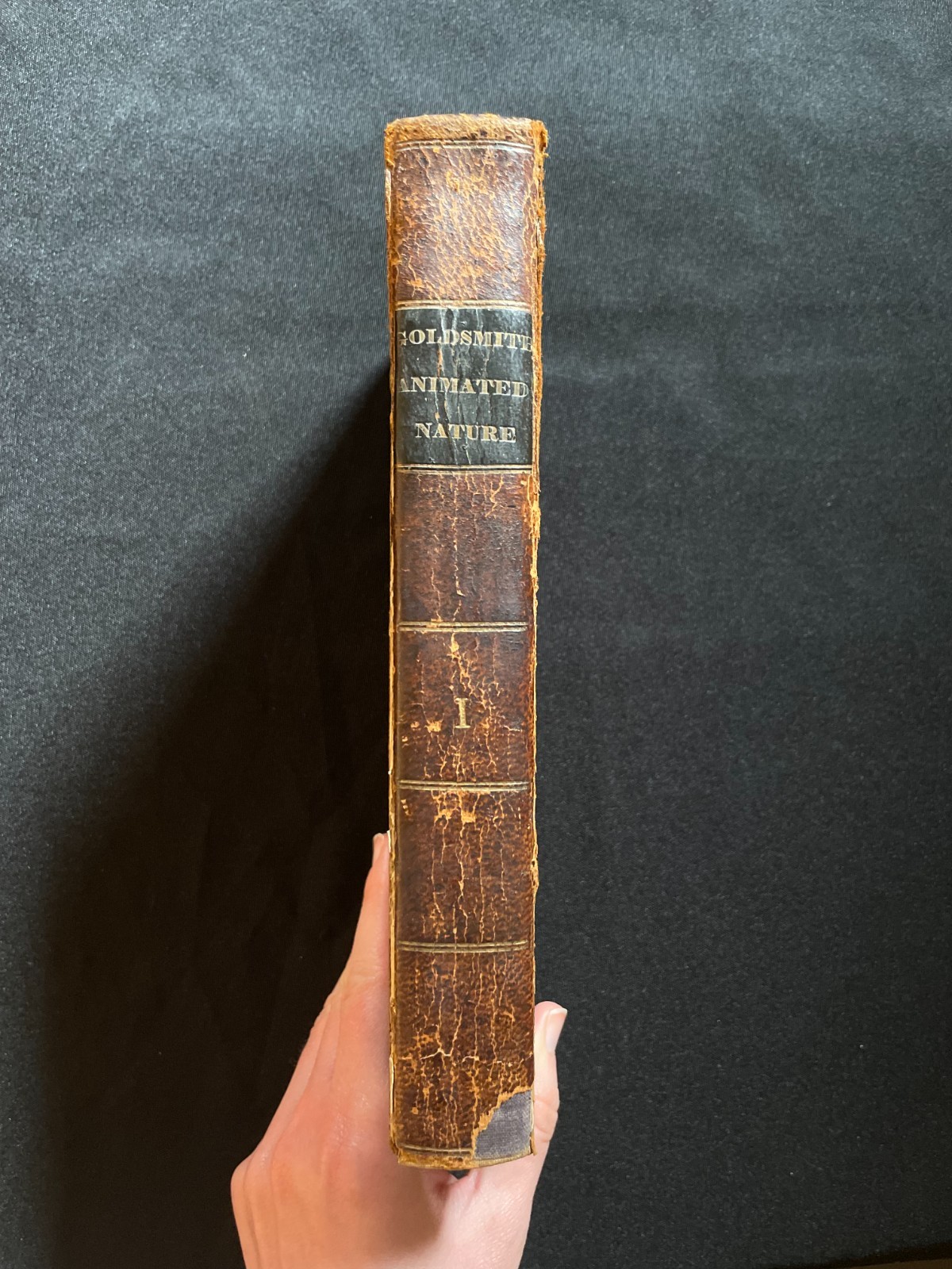 Antique Oliver Goldsmith “History of the Earth & Animated Nature” Vol. 1 (1823)