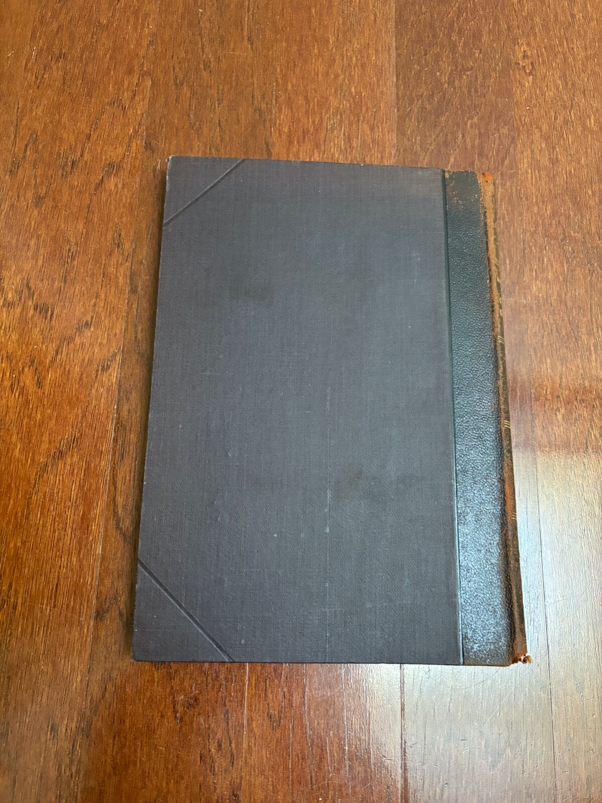 INSTRUCTIO PRO CONFICIENDO EXTRA CURIAM PROCESSU APOSTOLICO – 1901 LATIN ANTIQUE