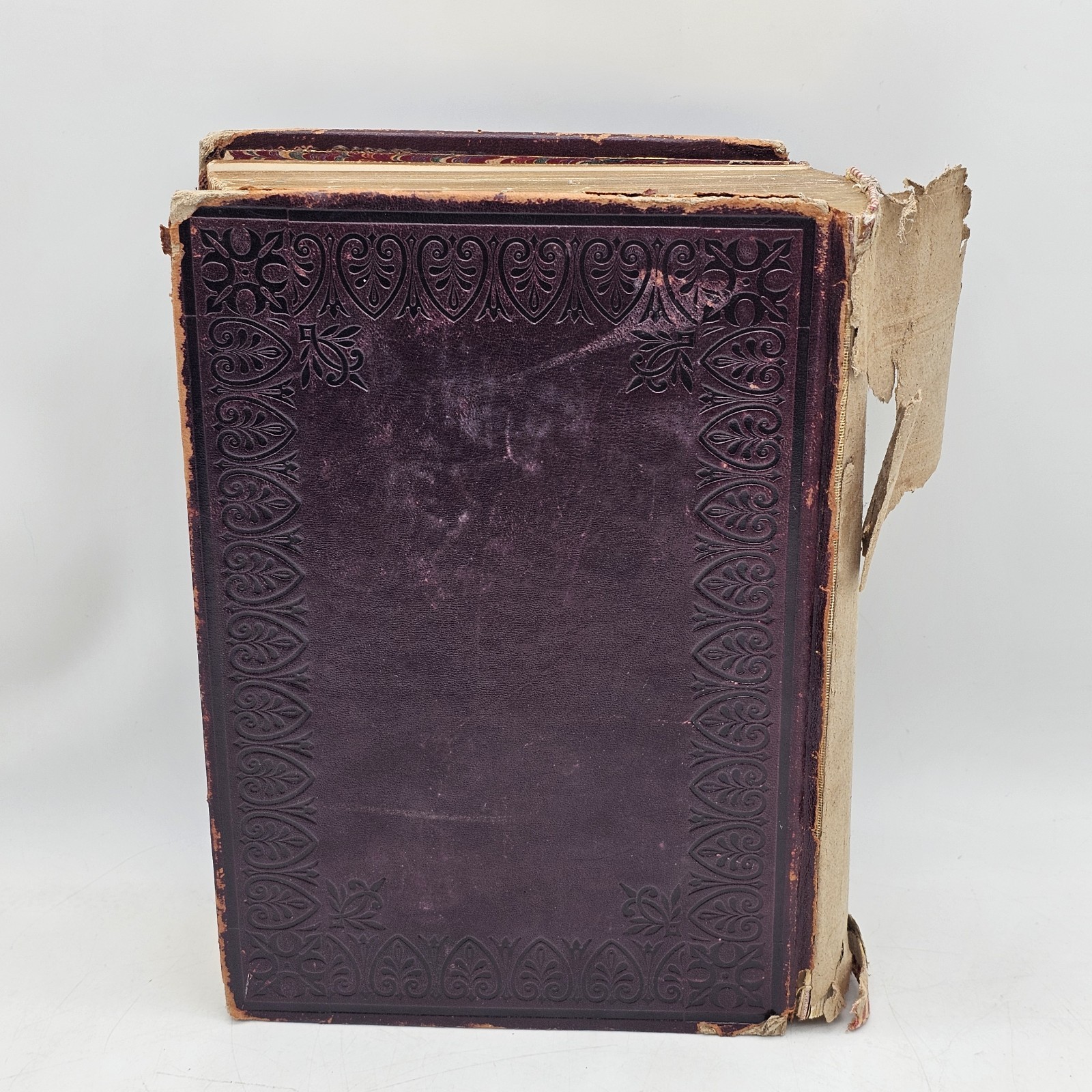 1895, HISTORY OF FREE & ACCEPTED MASONS AND CONCORDANT ORDERS, FREEMASONRY