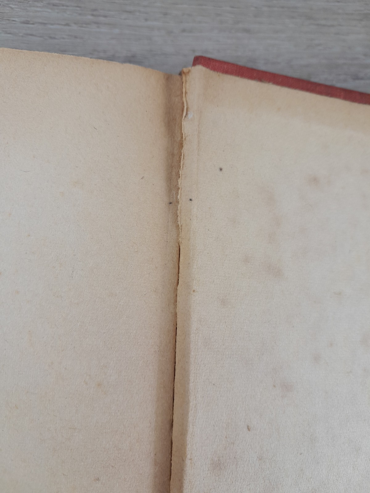 1920 Four Little Blossoms Oak Hill School Mabel C. Hawley Antique 1st Edition