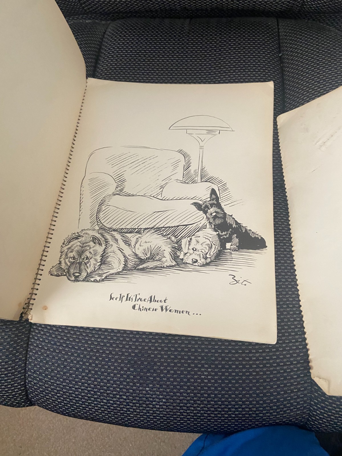 Original 1935 First Edition “DOGS” by ZITO – Spiral Bound Soft Cover Book