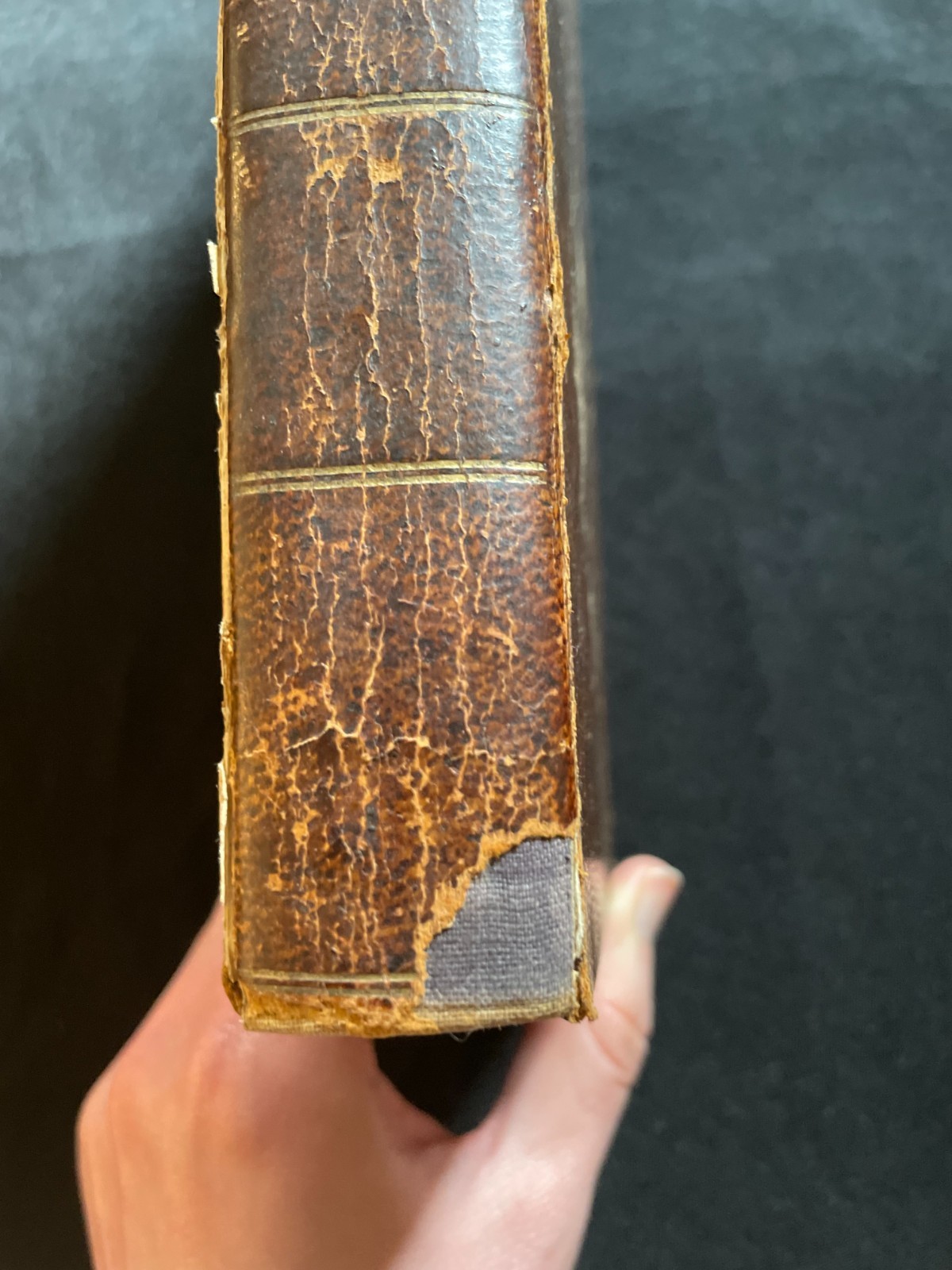 Antique Oliver Goldsmith “History of the Earth & Animated Nature” Vol. 1 (1823)
