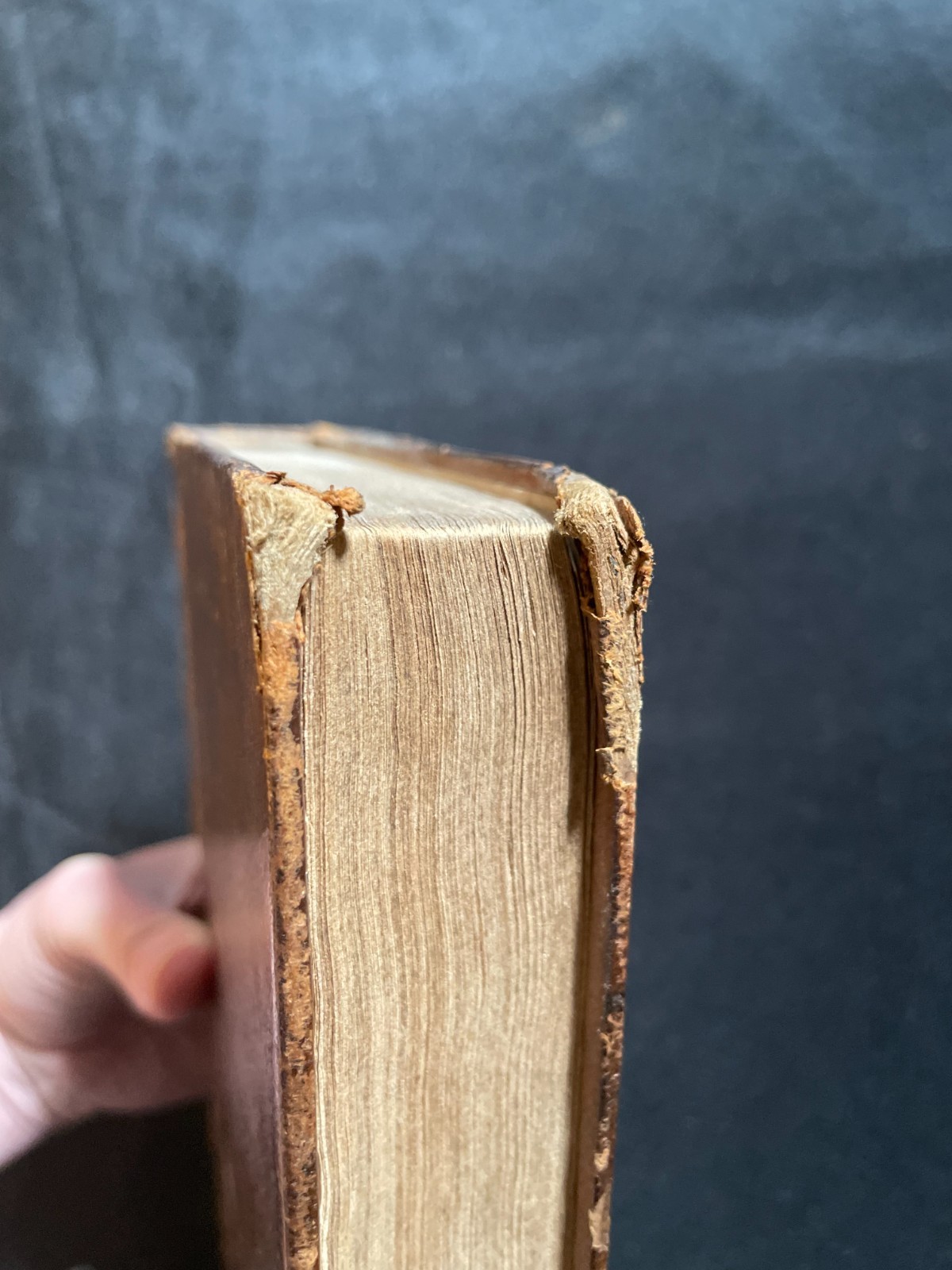 Antique Oliver Goldsmith “History of the Earth & Animated Nature” Vol. 1 (1823)
